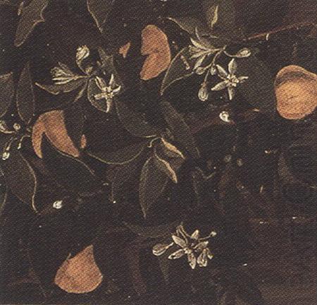Sandro Botticelli Details of Primavera (mk36) china oil painting image
